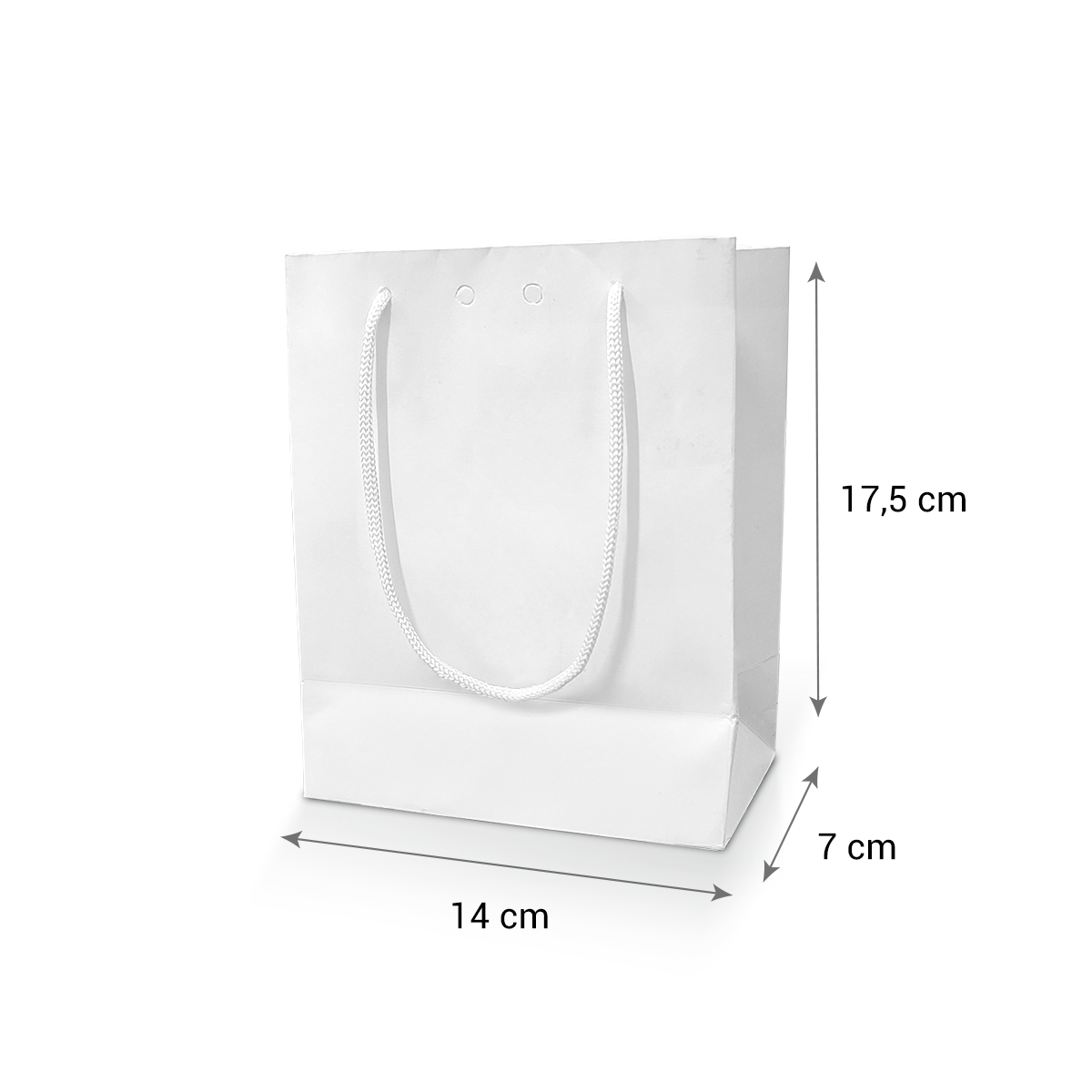 Sacola de Papel